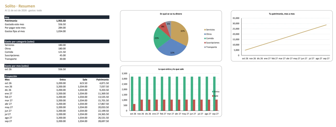La hoja Resumen del Excel de Solito, con sus tablas y gráficos